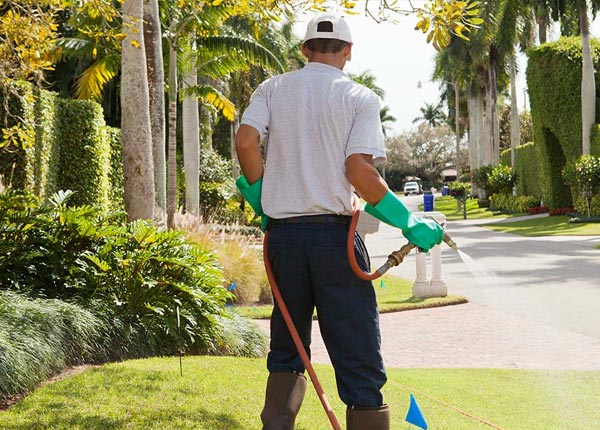 About Glenshaw PA Pest Control Pros